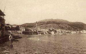 ROSSEVILLE A ST ANDRE  (10)